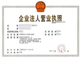企业法人图册_360百科