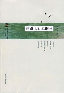 在路上行走的鱼图册_360百科
