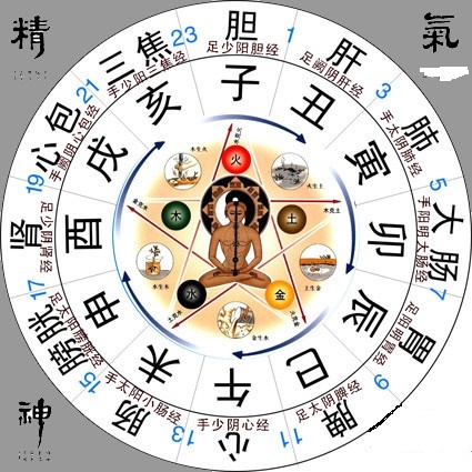 胃经图册_360百科