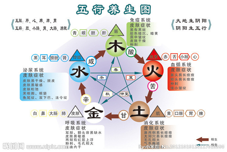 五行养生图册_360百科