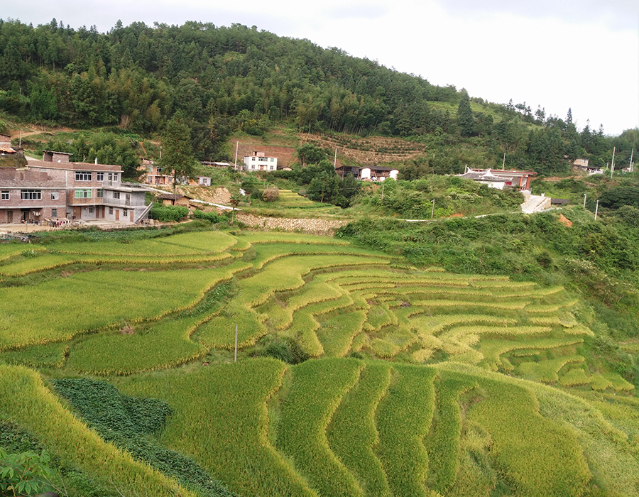 下坑村图册_360百科