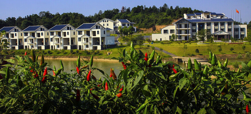 光明村图册_360百科