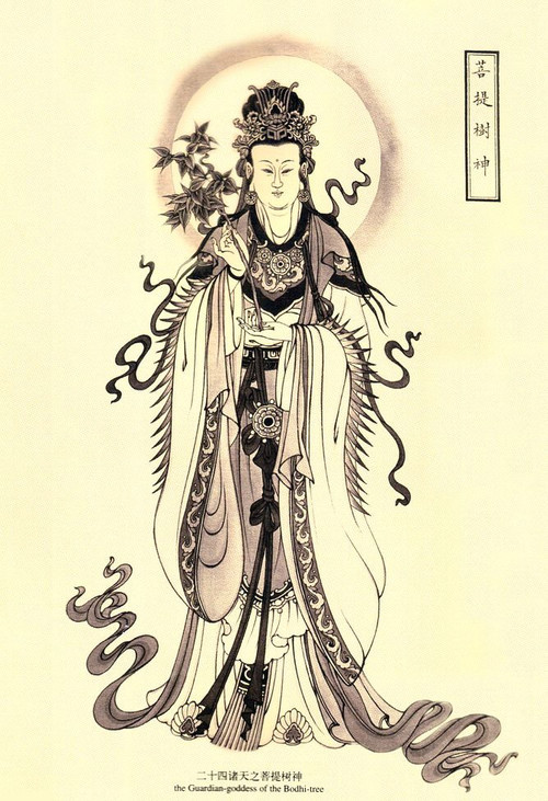 树神图册_360百科