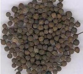 毕澄茄图册_360百科