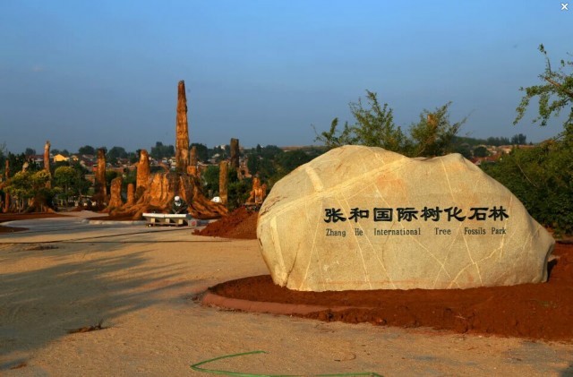 张和国际树化石林图册_360百科