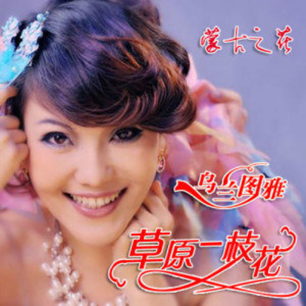 草原一枝花图册_360百科