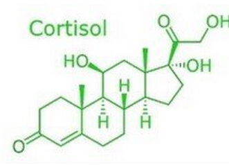氢化可的松片图册_360百科