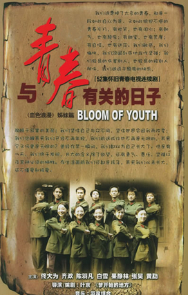 与青春有关的日子