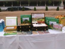 多项举措助力体育强县建设