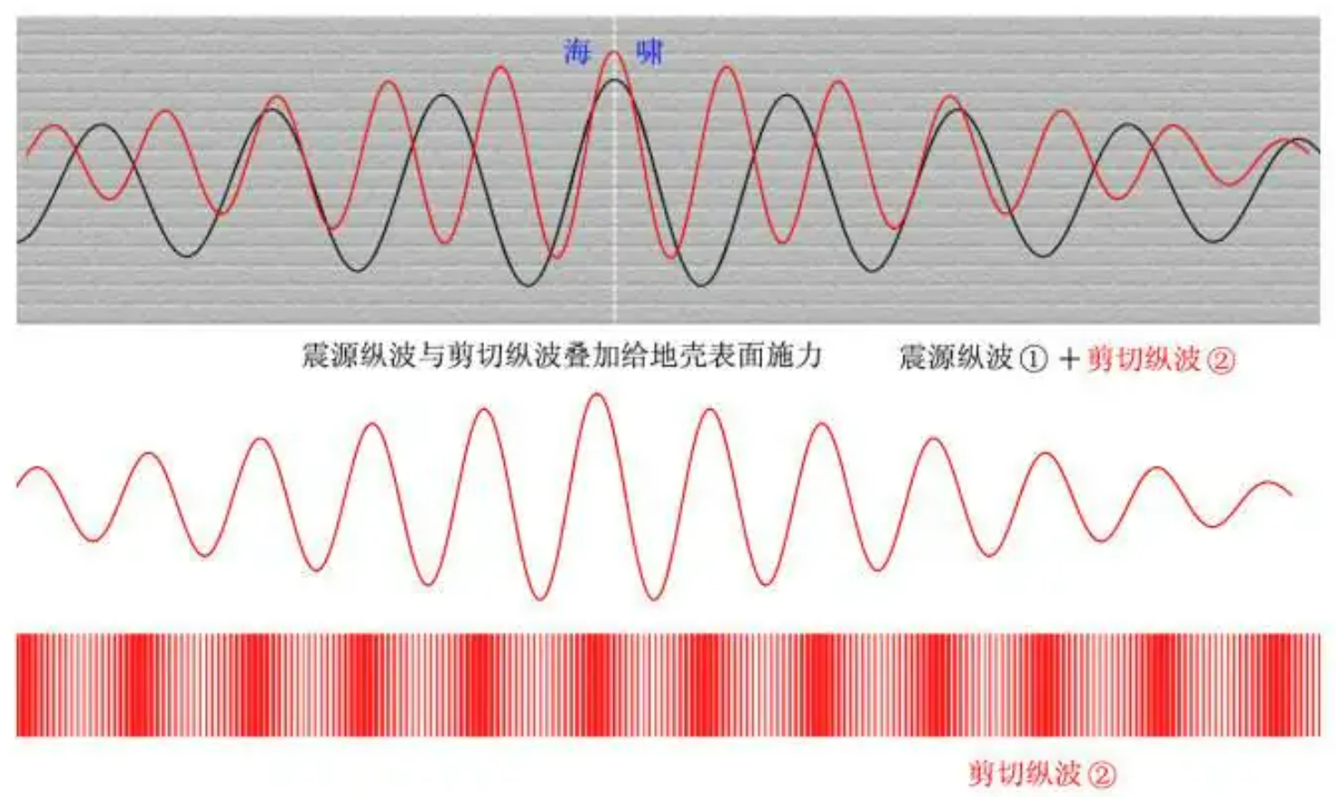 纵波图册_360百科