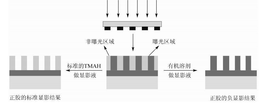 负显影图册_360百科