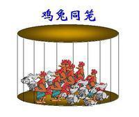 鸡兔同笼图册_360百科