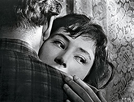 雁南飞图册_360百科