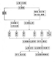 有理数图册_360百科