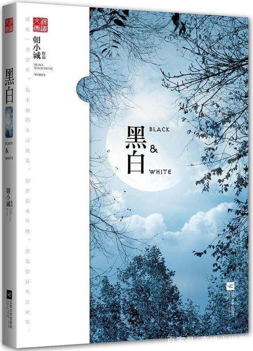求黑白朝小诚txt谢谢