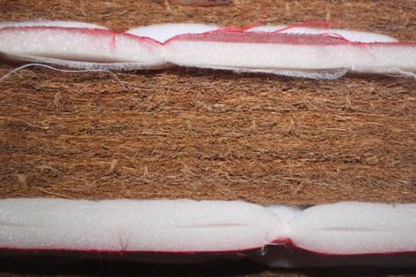 椰棕床垫长虫子图片