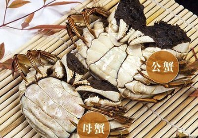 螃蟹公母怎么看?大闸蟹怎么区分公母_360新知