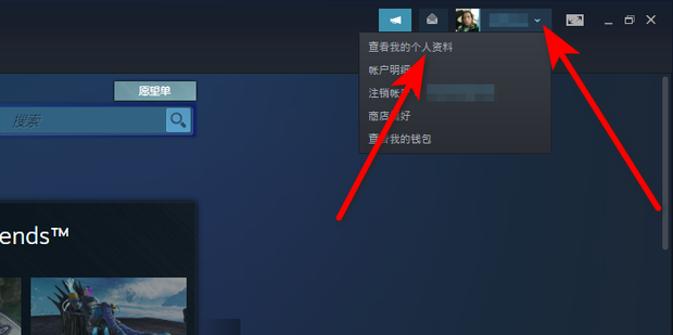 Sign In Steam