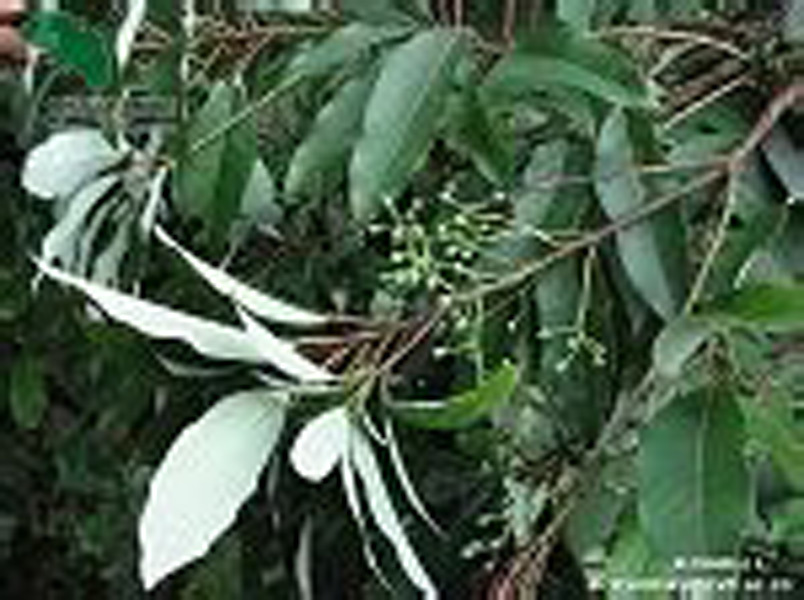 斗罗大陆162集在线观看完整版