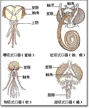 人再囧途
