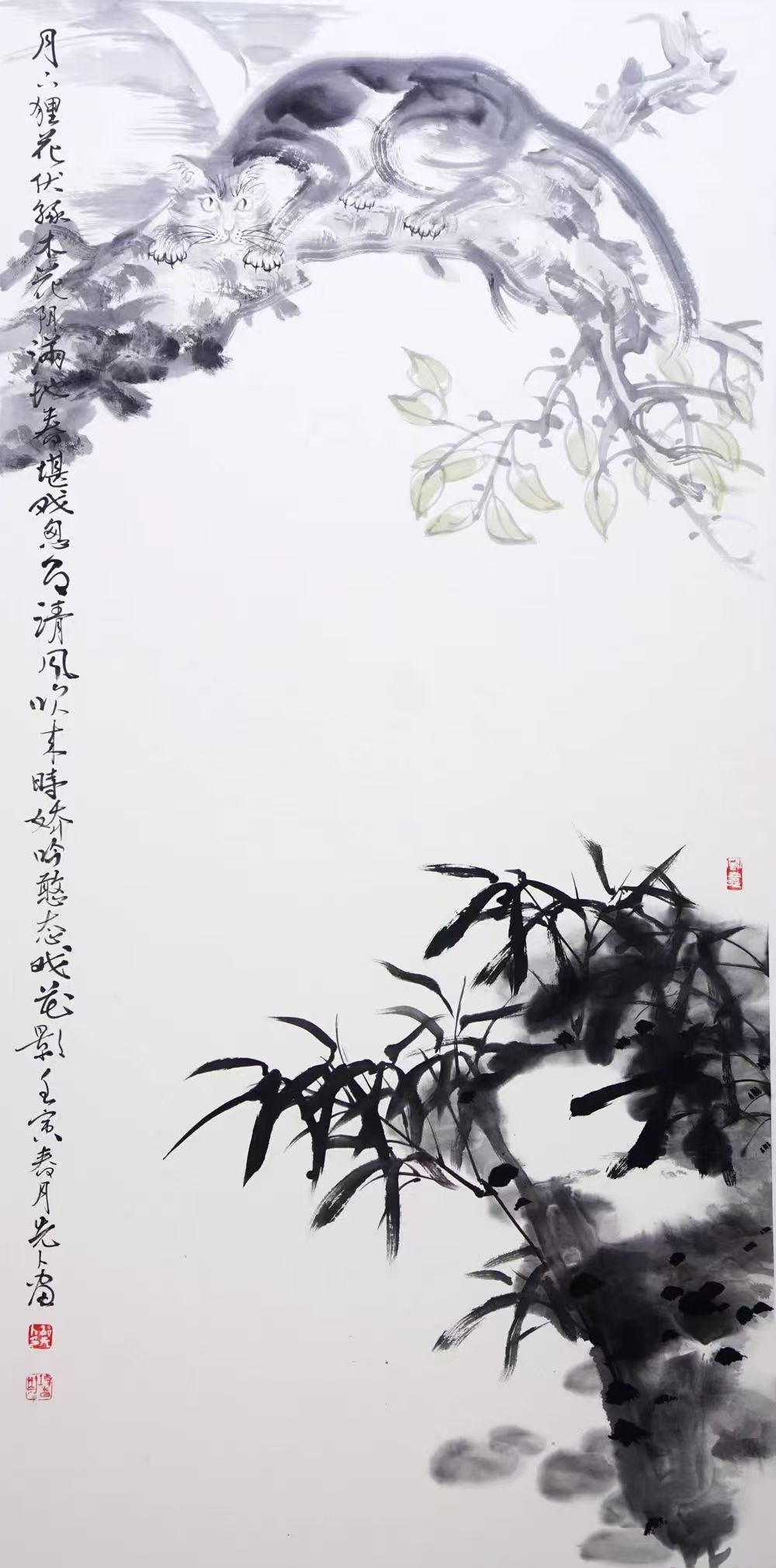 姚新峰图册