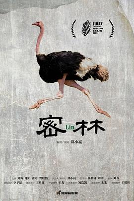 密林