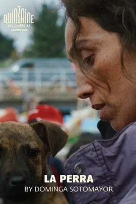 雌犬