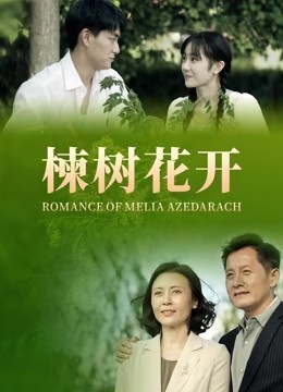 楝树花开
