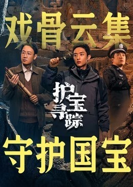 护宝寻踪​