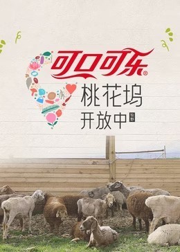 桃花坞开放中 第4季