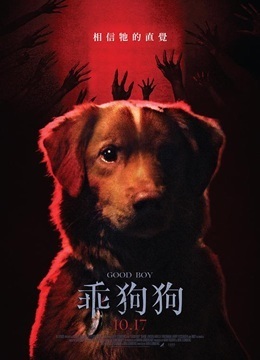 好狗狗